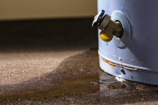 Best Local water damage restoration  in Hornsby Bend, TX