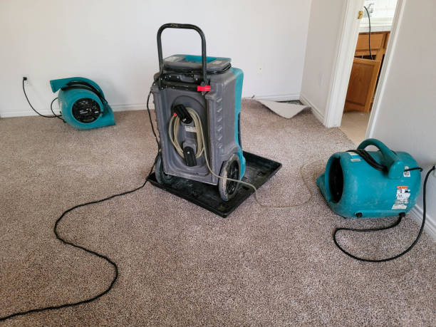 Best Flood damage cleanup  in Hornsby Bend, TX
