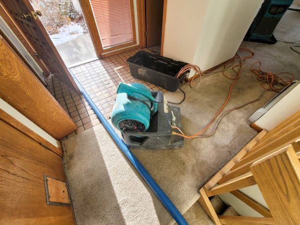 Best Water damage restoration near me  in Hornsby Bend, TX