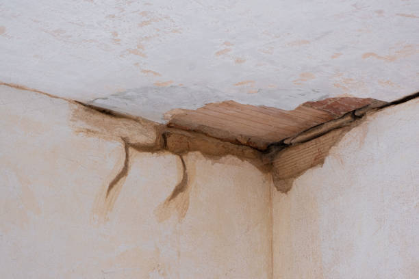 Fire Damage Restoration in Hornsby Bend, TX