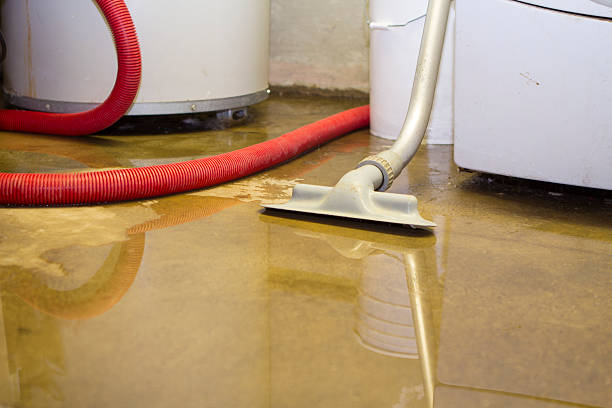 Best Fire Damage Restoration  in Hornsby Bend, TX