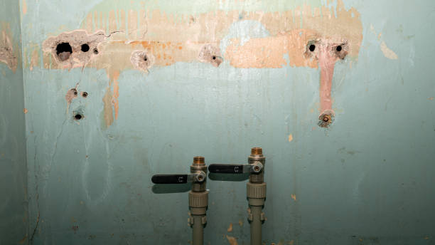 Best Residential water damage restoration  in Hornsby Bend, TX
