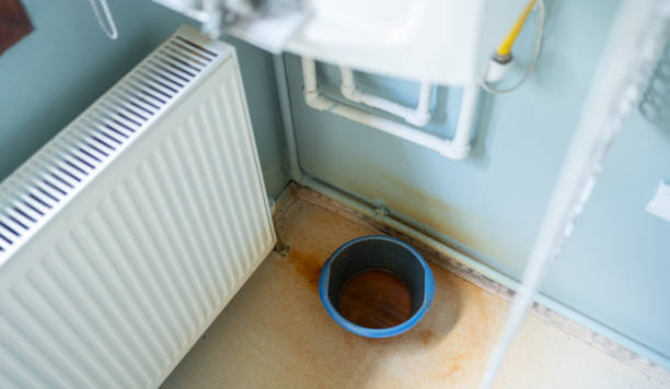 Best Water damage restoration near me  in Hornsby Bend, TX