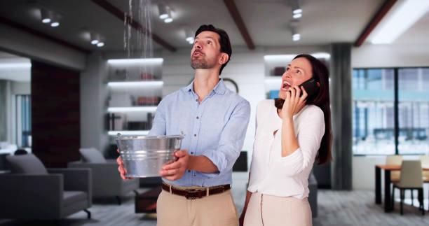 Best Flood restoration services  in Hornsby Bend, TX